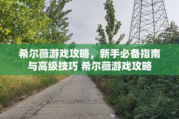 希尔薇游戏攻略，新手必备指南与高级技巧 希尔薇游戏攻略