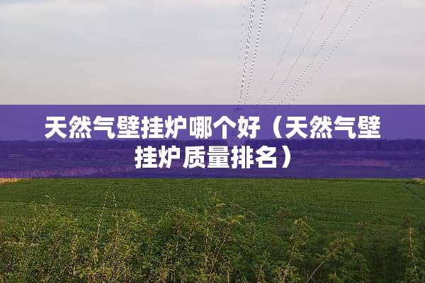 天然气壁挂炉哪个好（天然气壁挂炉质量排名）
