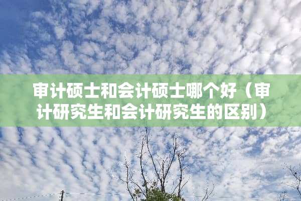 审计硕士和会计硕士哪个好（审计研究生和会计研究生的区别）
