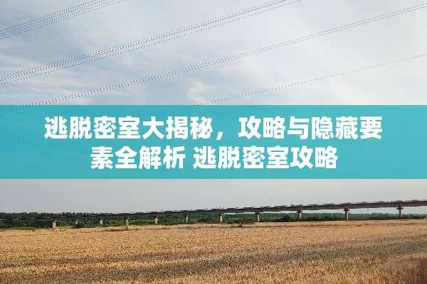 逃脱密室大揭秘,攻略与隐藏要素全解析 逃脱密室攻略 逃脱密室大揭秘,攻略与隐藏要素全解析 逃脱密室攻略