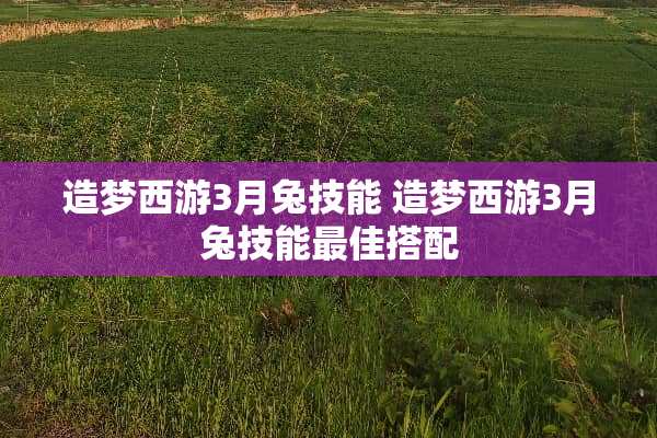 造梦西游3月兔技能 造梦西游3月兔技能最佳搭配