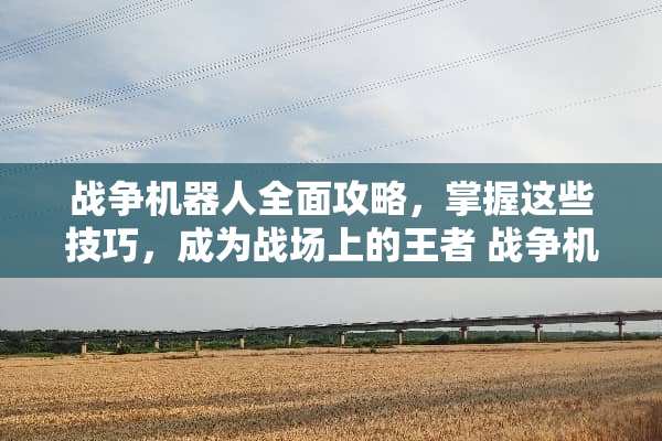 战争机器人全面攻略，掌握这些技巧，成为战场上的王者 战争机器人游戏攻略