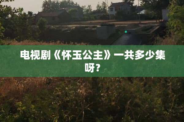 电视剧《怀玉公主》一共多少集呀？