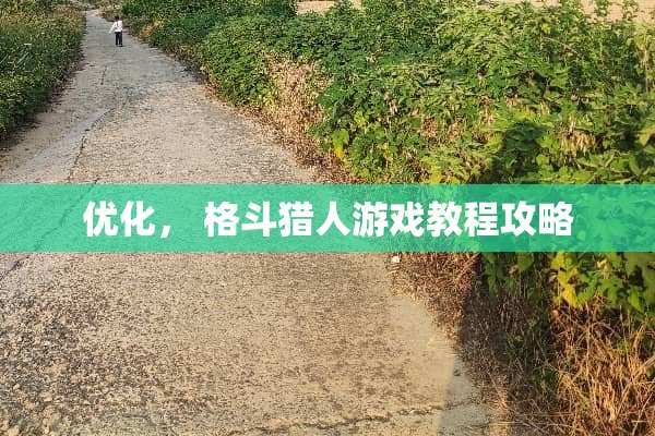优化， 格斗猎人游戏教程攻略