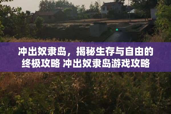 冲出*隶岛，揭秘生存与自由的终极攻略 冲出*隶岛游戏攻略