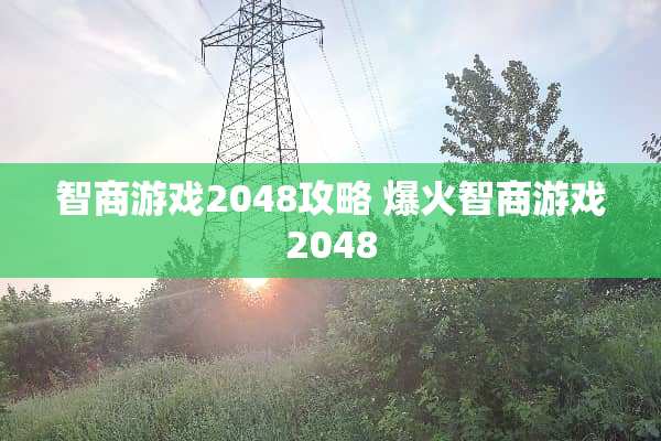 智商游戏2048攻略 爆火智商游戏2048