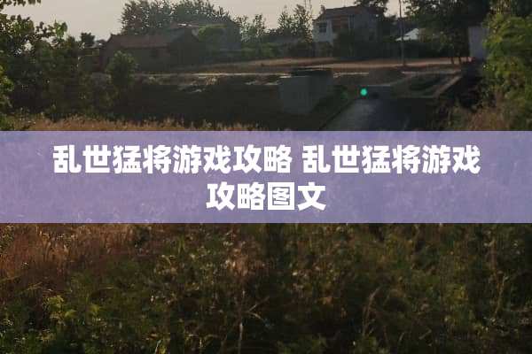 乱世猛将游戏攻略 乱世猛将游戏攻略图文