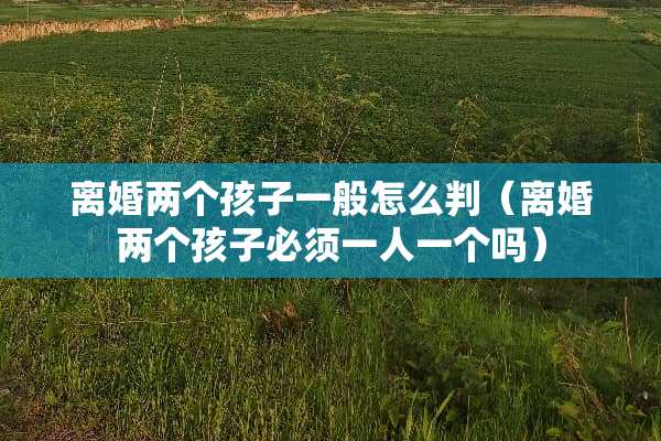 **两个孩子一般怎么判（**两个孩子必须一人一个吗）
