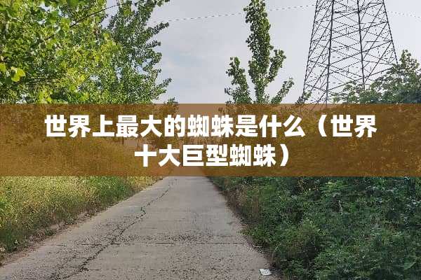 世界上最大的蜘蛛是什么（世界十大巨型蜘蛛）
