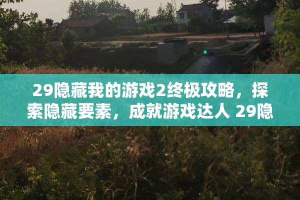 29隐藏我的游戏2终极攻略，探索隐藏要素，成就游戏达人 29隐藏我的游戏2攻略