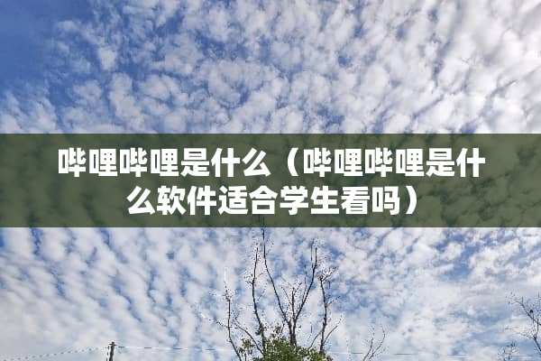 哔哩哔哩是什么（哔哩哔哩是什么软件适合学生看吗）
