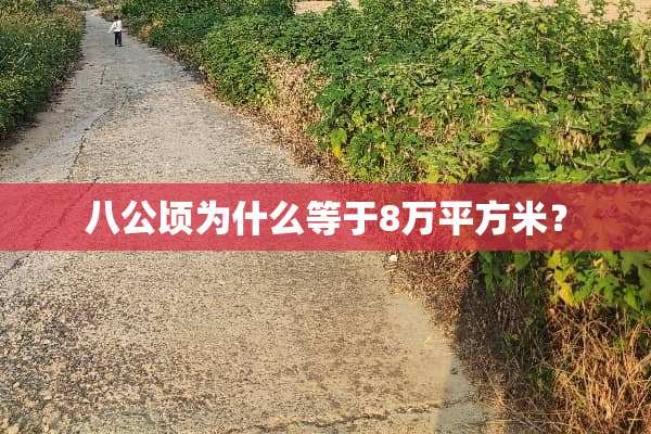 八公顷为什么等于8万平方米？