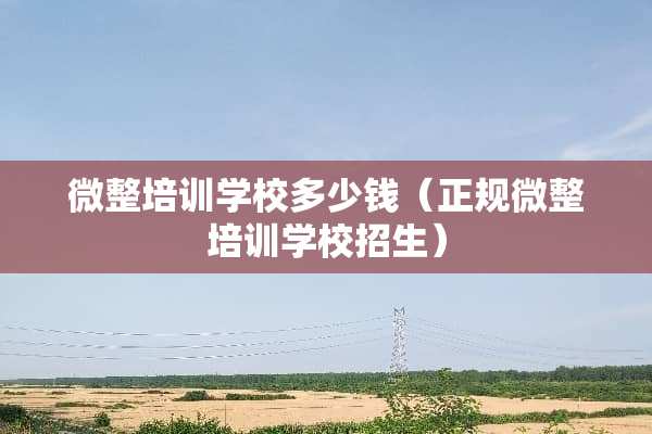 微整培训学校多少钱（正规微整培训学校招生）