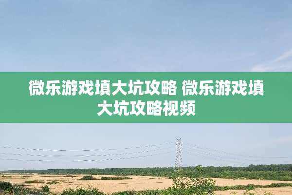 微乐游戏填大坑攻略 微乐游戏填大坑攻略视频