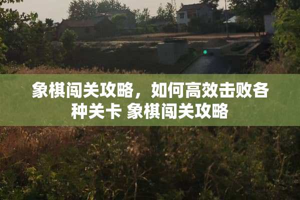 象棋闯关攻略，如何高效击败各种关卡 象棋闯关攻略