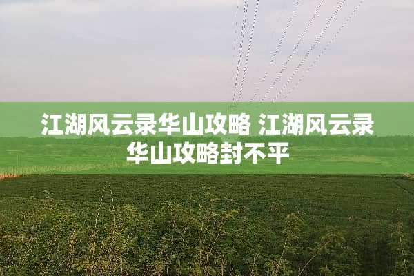 江湖风云录华山攻略 江湖风云录华山攻略封不平
