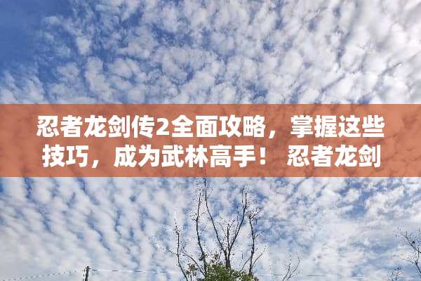 忍者龙剑传2全面攻略，掌握这些技巧，成为武林高手！ 忍者龙剑传2攻略