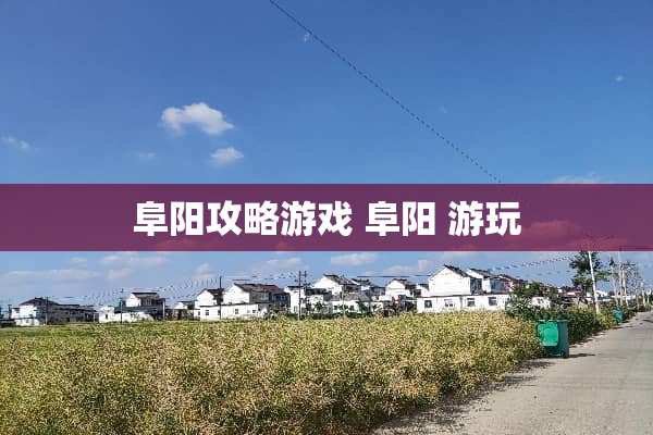 阜阳攻略游戏 阜阳 游玩