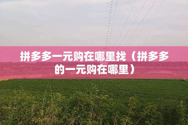 拼多多一元购在***（拼多多的一元购在哪里）