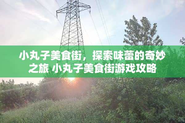小丸子美食街，探索味蕾的奇妙之旅 小丸子美食街游戏攻略