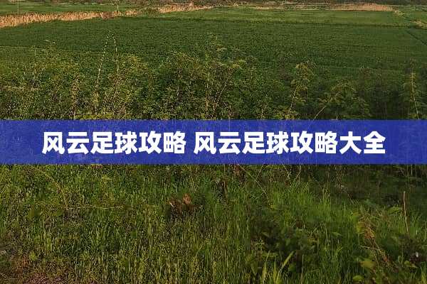 风云**攻略 风云**攻略大全