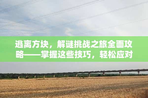 逃离方块，解谜挑战之旅全面攻略——掌握这些技巧，轻松应对各种难关！ 逃离方块攻略