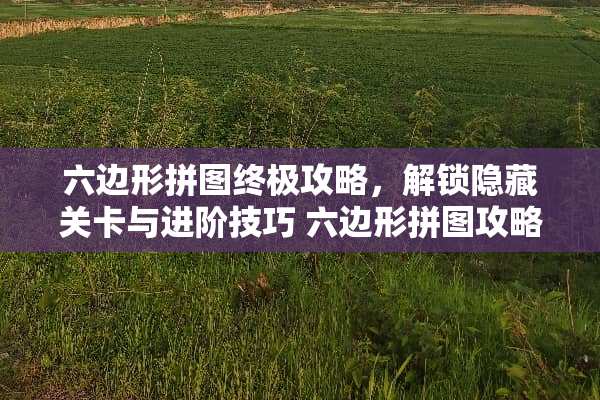 六边形拼图终极攻略，解锁隐藏关卡与进阶技巧 六边形拼图攻略