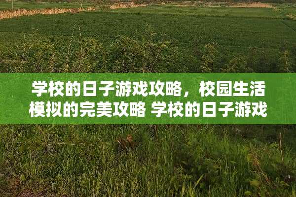 学校的日子游戏攻略，校园生活模拟的完美攻略 学校的日子游戏攻略