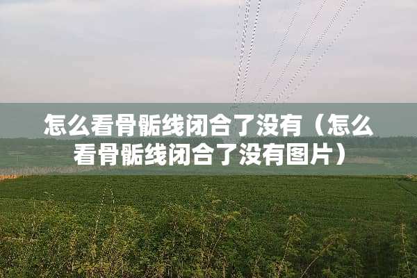 怎么看骨骺线闭合了没有（怎么看骨骺线闭合了没有图片）