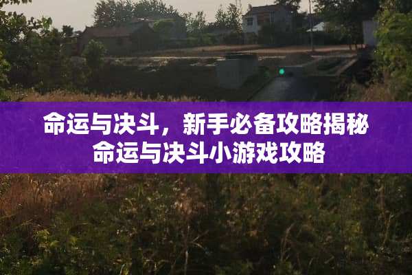 命运与决斗，新手必备攻略揭秘 命运与决斗小游戏攻略