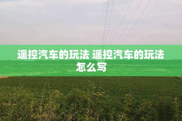 遥控汽车的玩法 遥控汽车的玩法怎么写