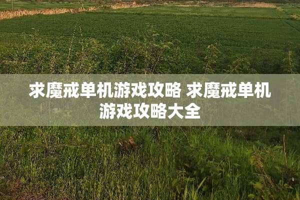 求魔戒单机游戏攻略 求魔戒单机游戏攻略大全