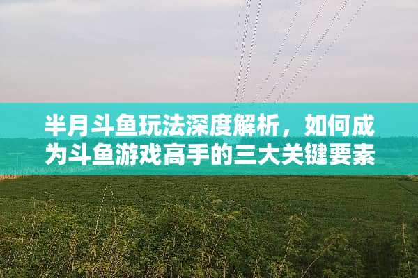 半月斗鱼玩法深度解析,如何成为斗鱼游戏高手的三大关键要素 半月斗鱼玩法 半月斗鱼玩法深度解析,如何成为斗鱼游戏高手的三大关键要素 半月斗鱼玩法
