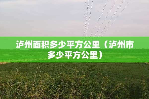 泸州面积多少平方公里（泸州市多少平方公里）