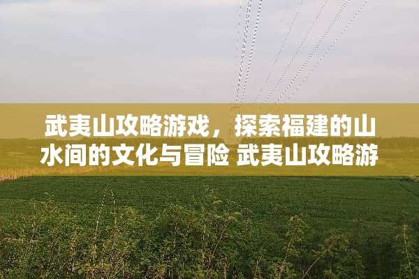 武夷山攻略游戏，探索福建的山水间的文化与冒险 武夷山攻略游戏
