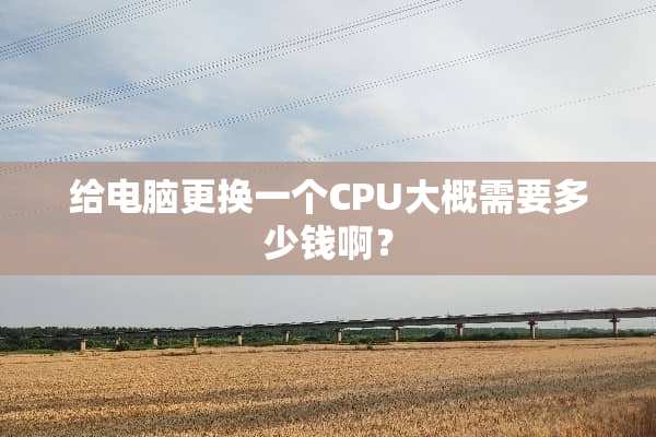 给电脑更换一个CPU大概需要多少钱啊？