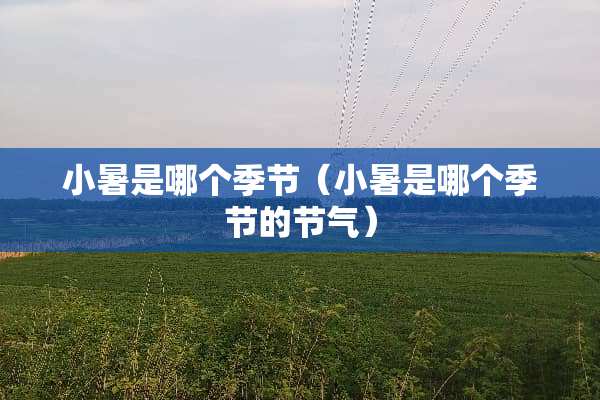 小暑是哪个季节（小暑是哪个季节的节气）
