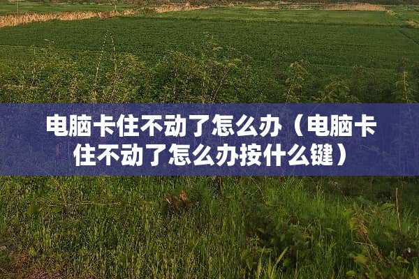 电脑卡住不动了怎么办（电脑卡住不动了怎么办按什么键）