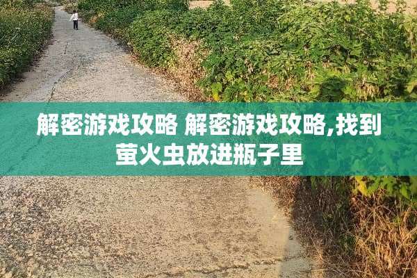 解密游戏攻略 解密游戏攻略,找到萤火虫放进瓶子里
