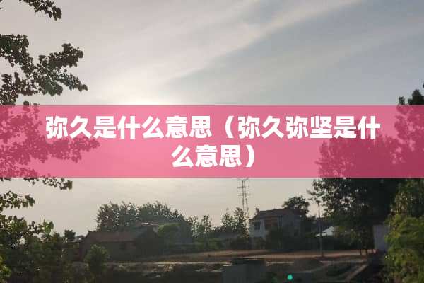 弥久是什么意思（弥久弥坚是什么意思）