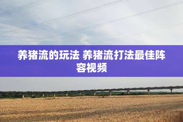 养猪流的玩法 养猪流打法最佳阵容视频