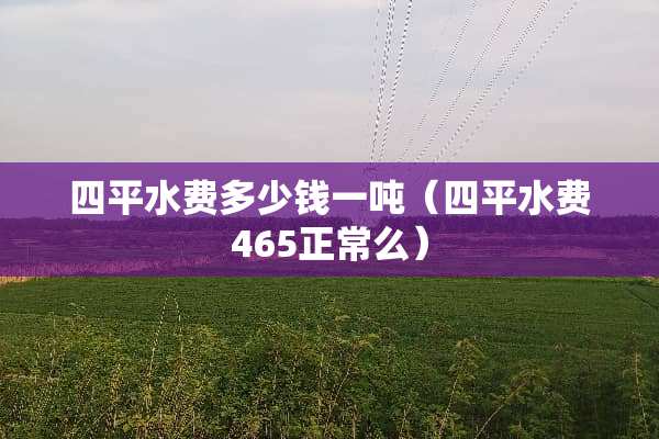 四平水费多少钱一吨（四平水费465正常么）