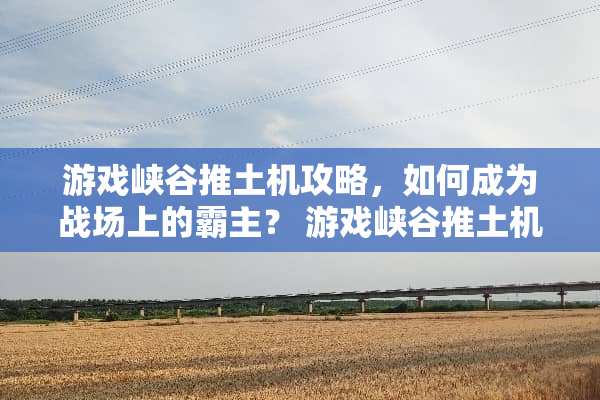 游戏峡谷推土机攻略，如何成为战场上的霸主？ 游戏峡谷推土机攻略