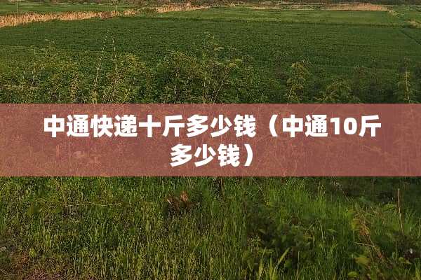 中通快递十斤多少钱(中通10斤多少钱) 中通快递十斤多少钱(中通10斤多少钱)