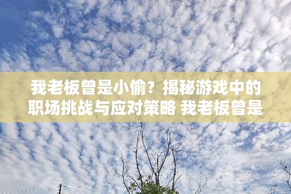 我老板曾是小偷？揭秘游戏中的职场挑战与应对策略 我老板曾是小偷游戏攻略