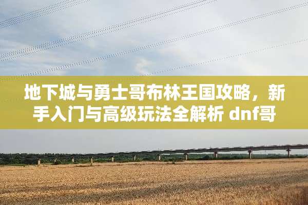 地下城与勇士哥布林王国攻略，新手入门与高级玩法全解析 dnf哥布林王国攻略