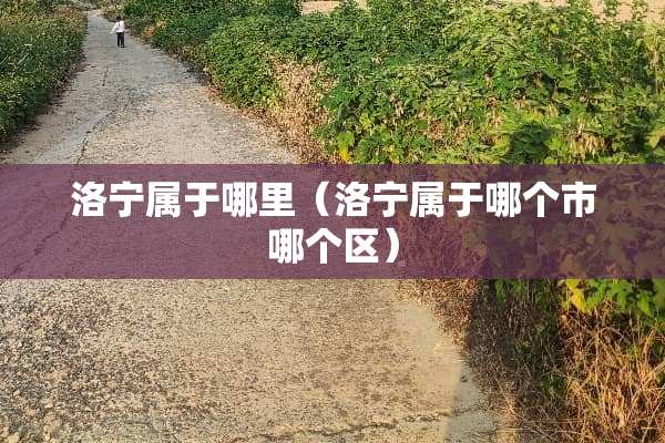 洛宁属于哪里（洛宁属于哪个市哪个区）