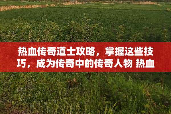 热血传奇道士攻略,掌握这些技巧,成为传奇中的传奇人物 热血传奇道士攻略 热血传奇道士攻略,掌握这些技巧,成为传奇中的传奇人物 热血传奇道士攻略