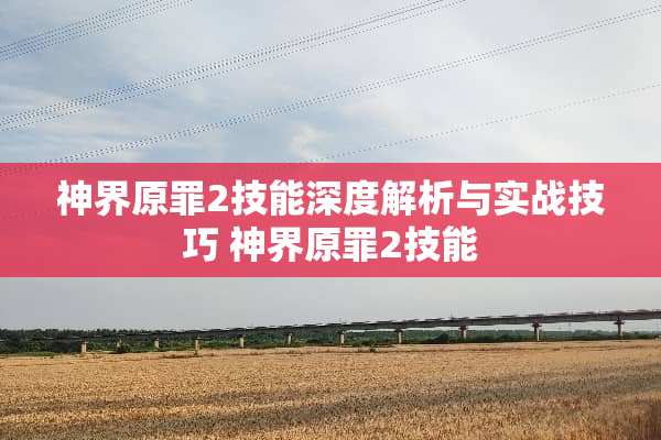 神界原罪2技能深度解析与实战技巧 神界原罪2技能