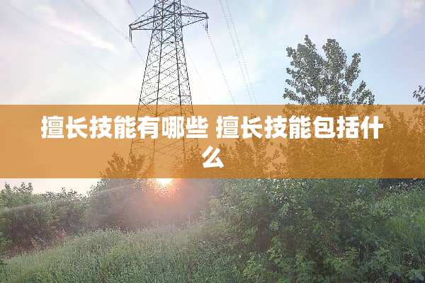 擅长技能有哪些 擅长技能包括什么